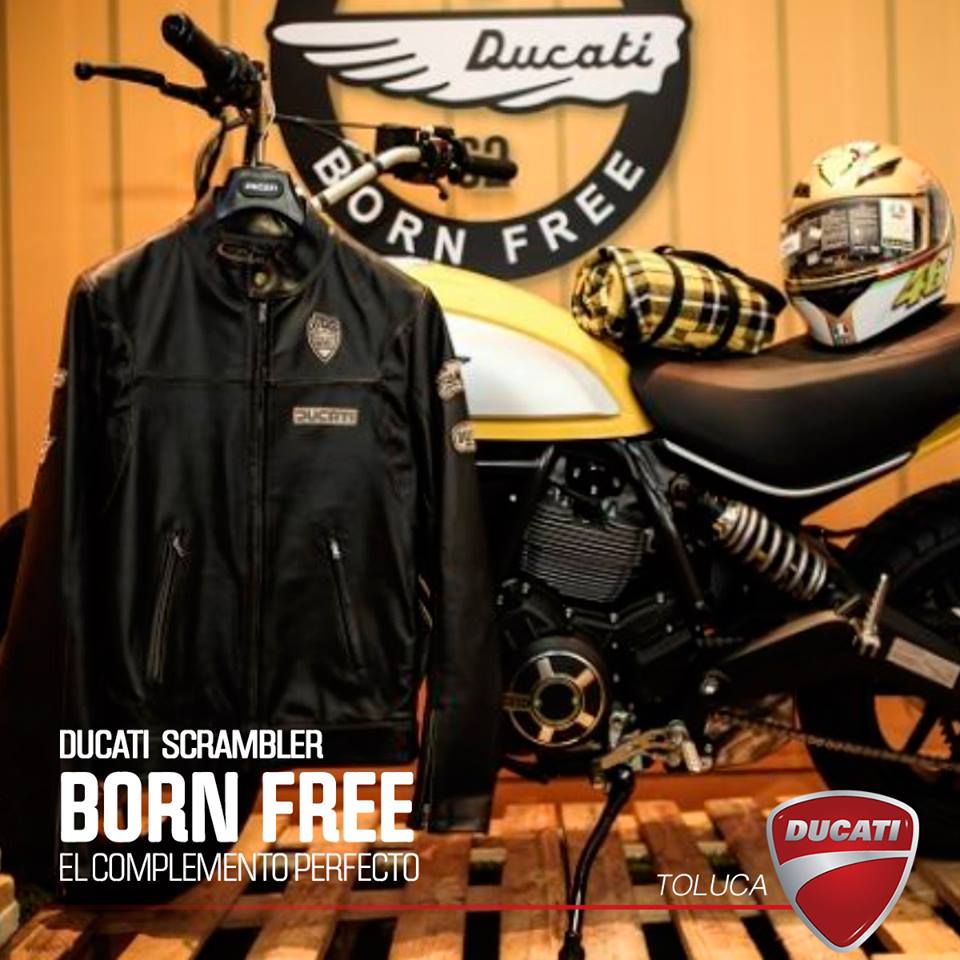 Born Free